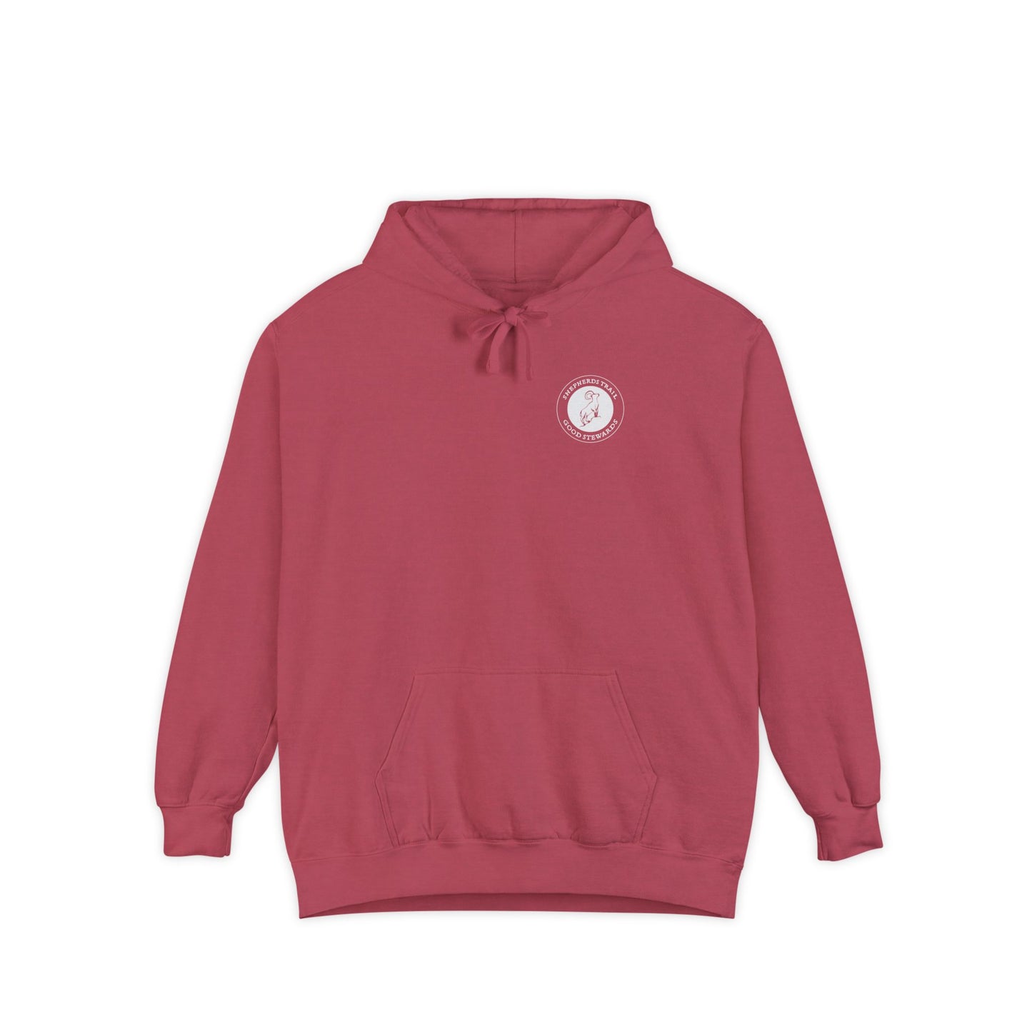 Good Stewards - Sea Turtle - Christian Hoodie