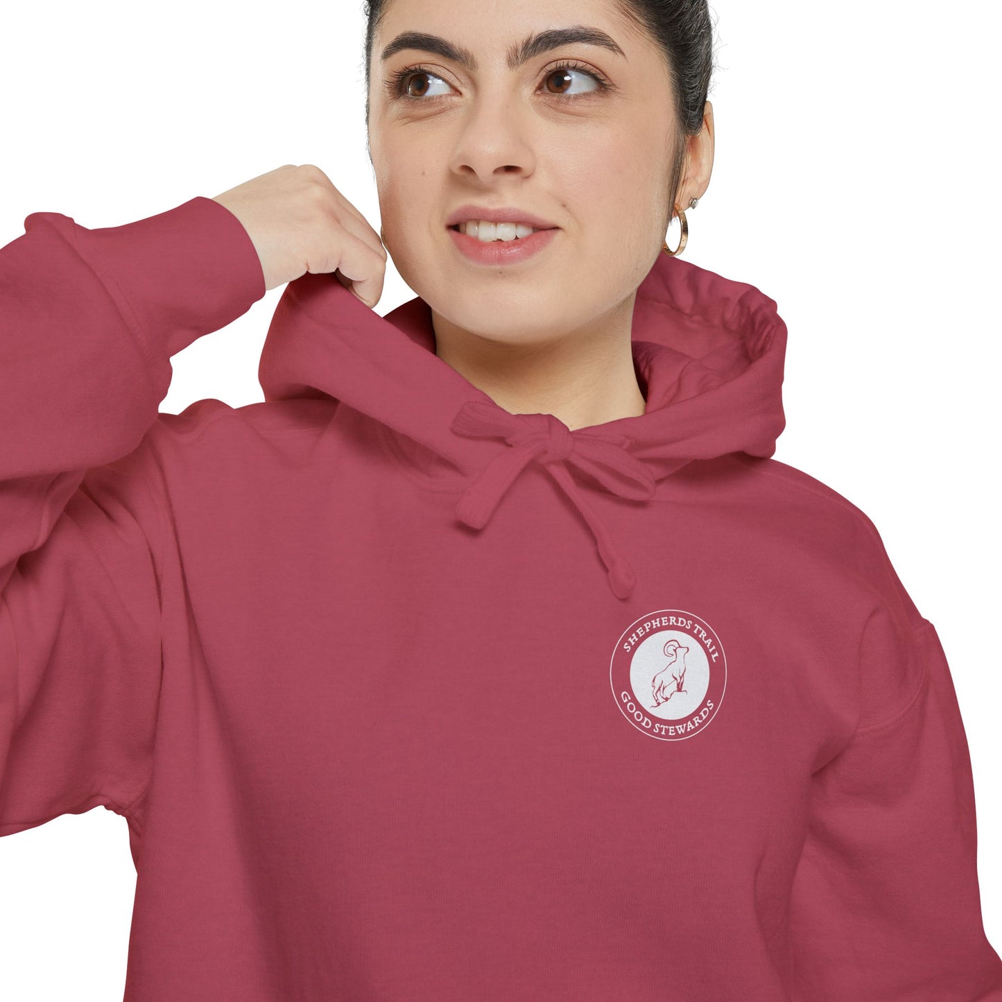 Good Stewards - Sea Turtle - Christian Hoodie