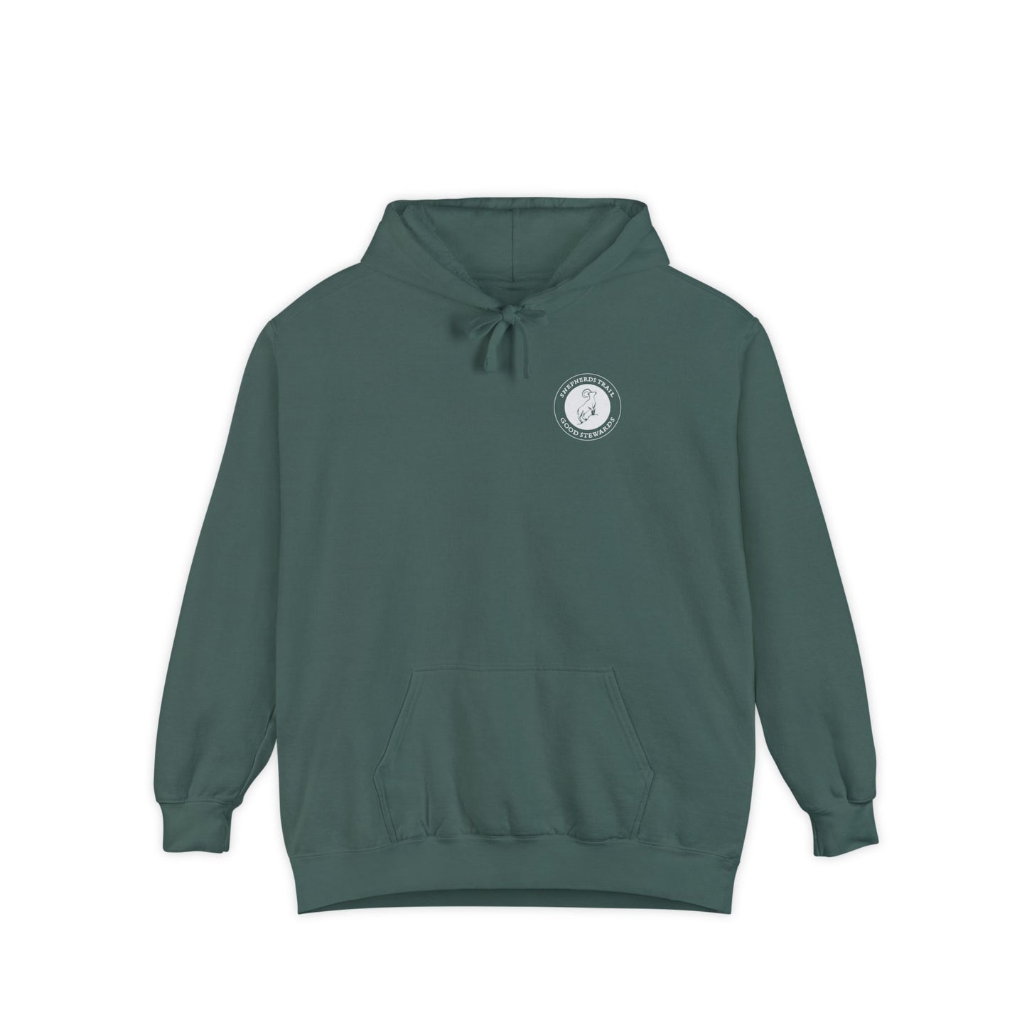 Good Stewards - Sea Turtle - Christian Hoodie