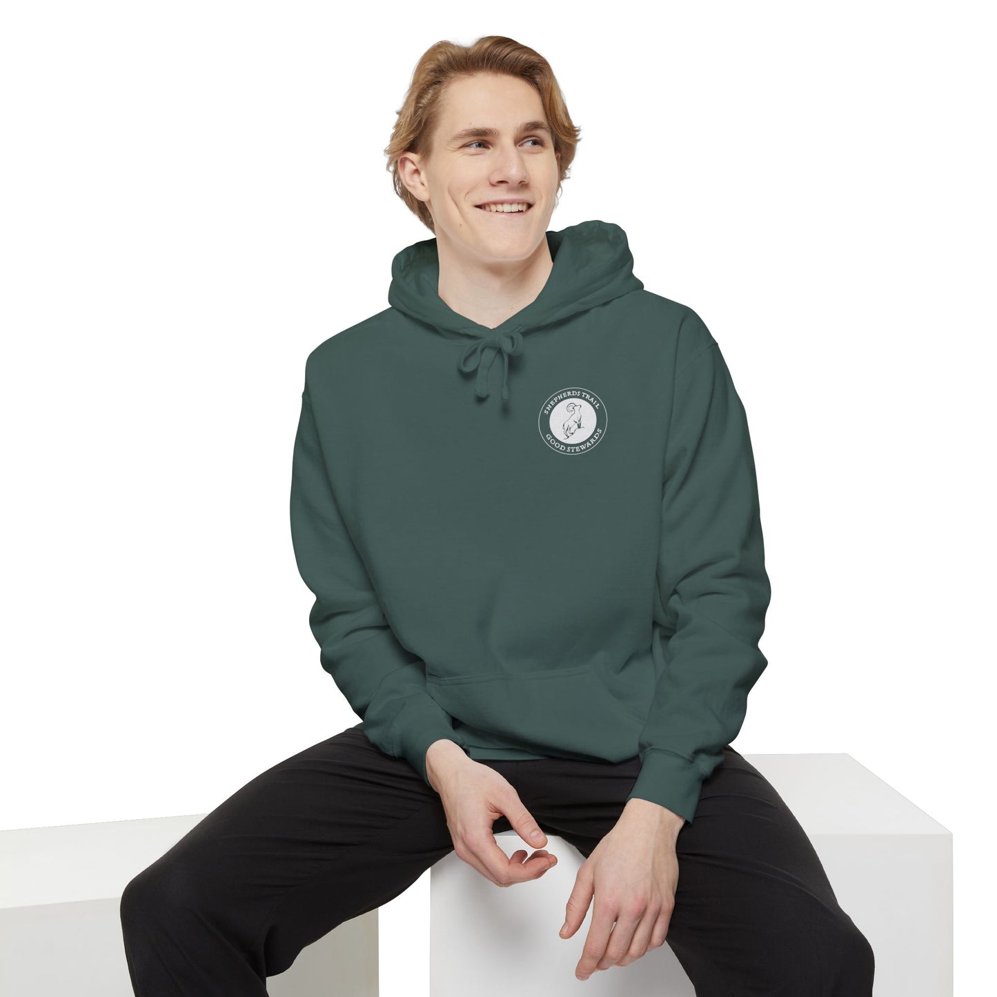 Good Stewards - Sea Turtle - Christian Hoodie