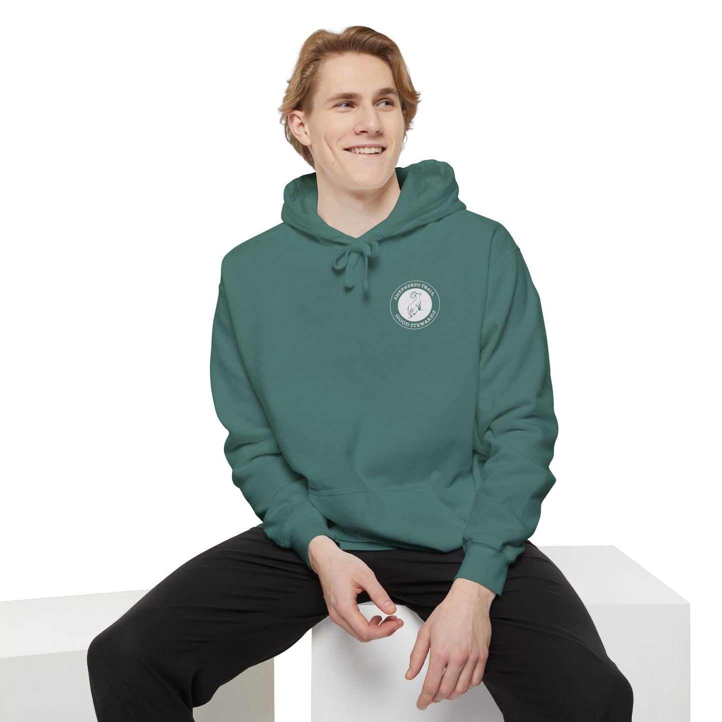 Good Stewards - Sea Turtle - Christian Hoodie