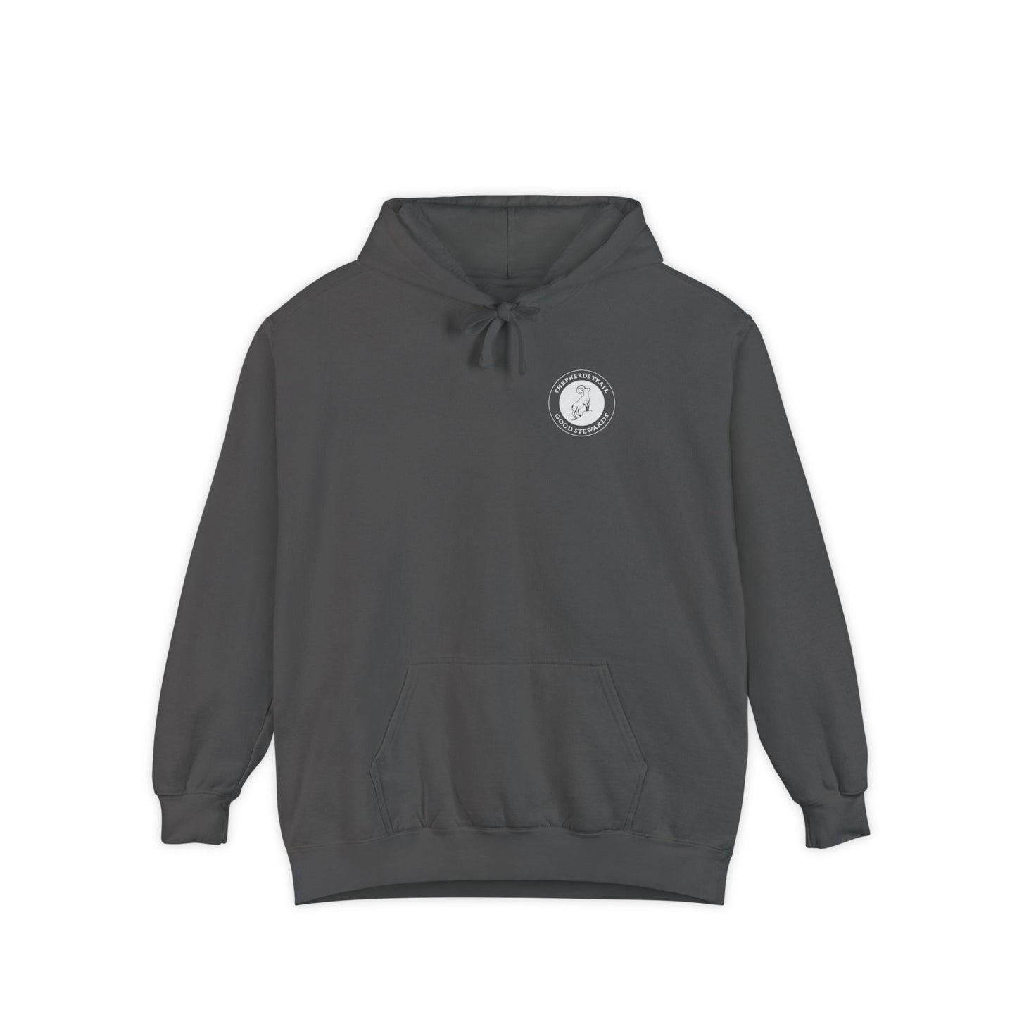 Good Stewards - Sea Turtle - Christian Hoodie
