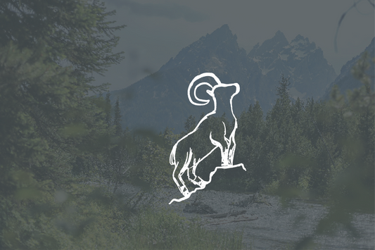 Why the Bighorn Sheep?